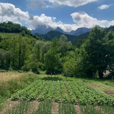 公寓 With Two Bedrooms *