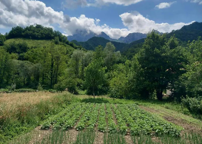 Apartman With Two Bedrooms *